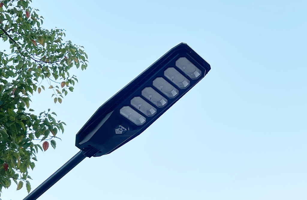 Intrepid Pioneer II Solar Street Light