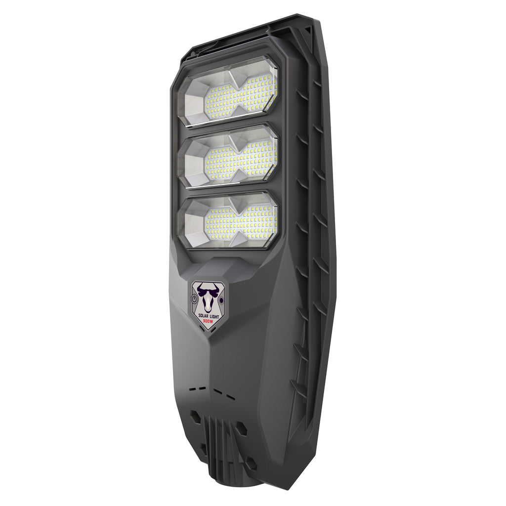 Intrepid Pioneer II Solar Street Light