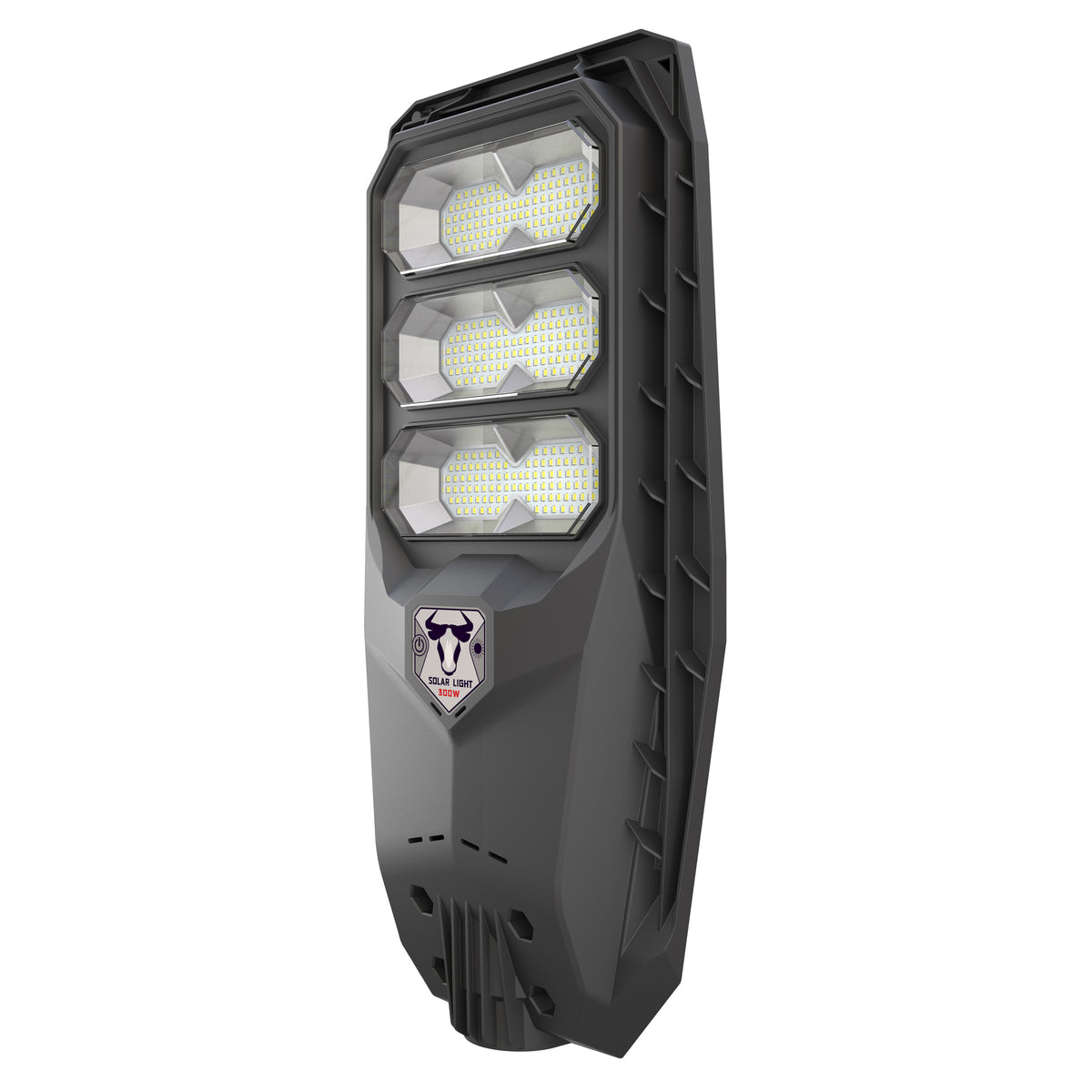 Intrepid Pioneer II Solar Street Light